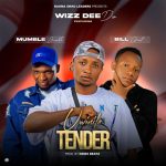 Wizz Dee Don ft Mumble Jumble & Bill Great – Uwinile Tender Mp3 Download